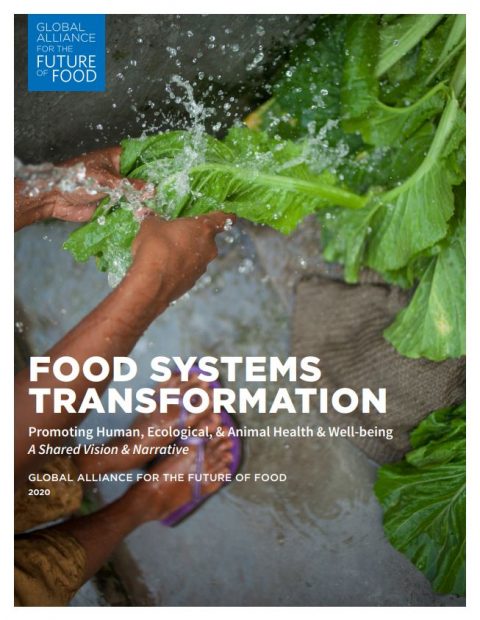 Food Systems Transformation Cover
