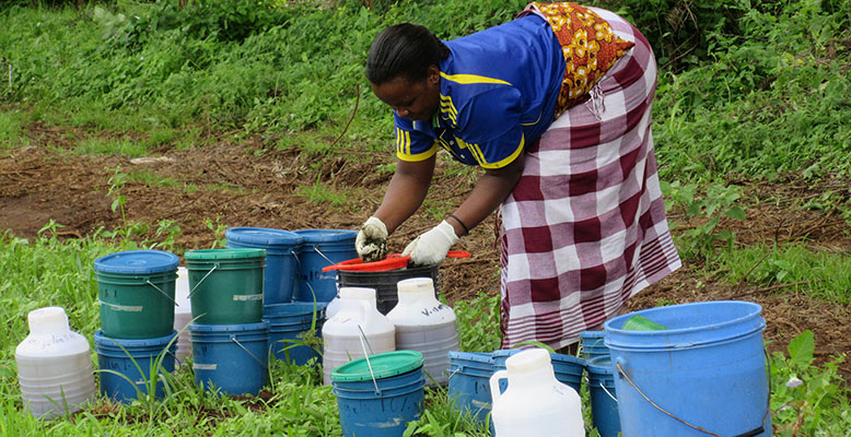 MSc student Angela Mkindi prepares to spray a naturally derived pesticide solution on a field in Lyamungo, Tanzania. Photo credit: Angela Mkindi